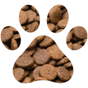 Grain Free Chicken for Kittens